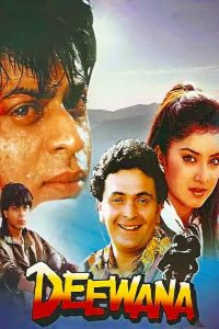 Deewana (1992) Bollywood Hindi