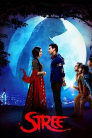 Stree (2018) Bollywood Hindi