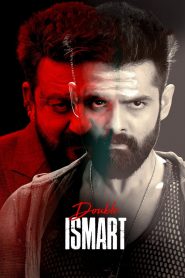 Double iSmart (2024) MULTI [AMZN] & HINDI