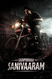 Saripodhaa Sanivaaram (2024) (HINDI-TELUGU)