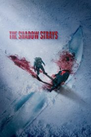 The Shadow Strays (2024) Hollywood (Hindi & English)