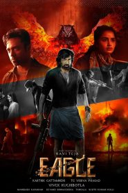 Download Eagle (2024) Dual Audio Movies