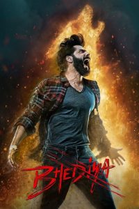 Download Bhediya (2022) ZinkMovies in HD 480p [479MB], 720p [1.6GB], 1080p [3.7GB], 2160p [18.7GB]