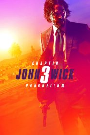 John Wick: Chapter 3 – Parabellum (2019) Hollywood (Hindi & English)